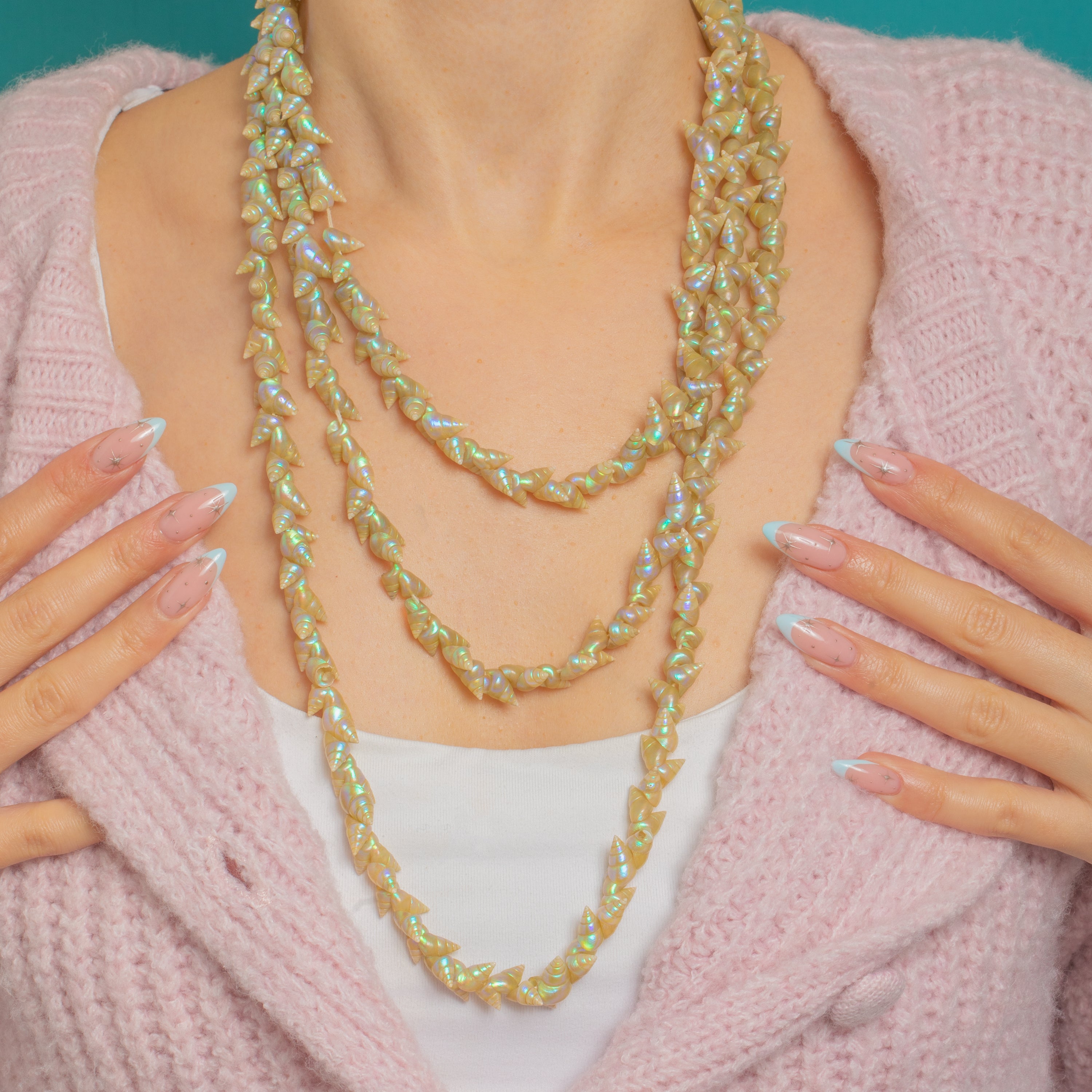 Aboriginal Shell Pendants Victorian Aboriginal Tasmanian Maireener Shell Necklace