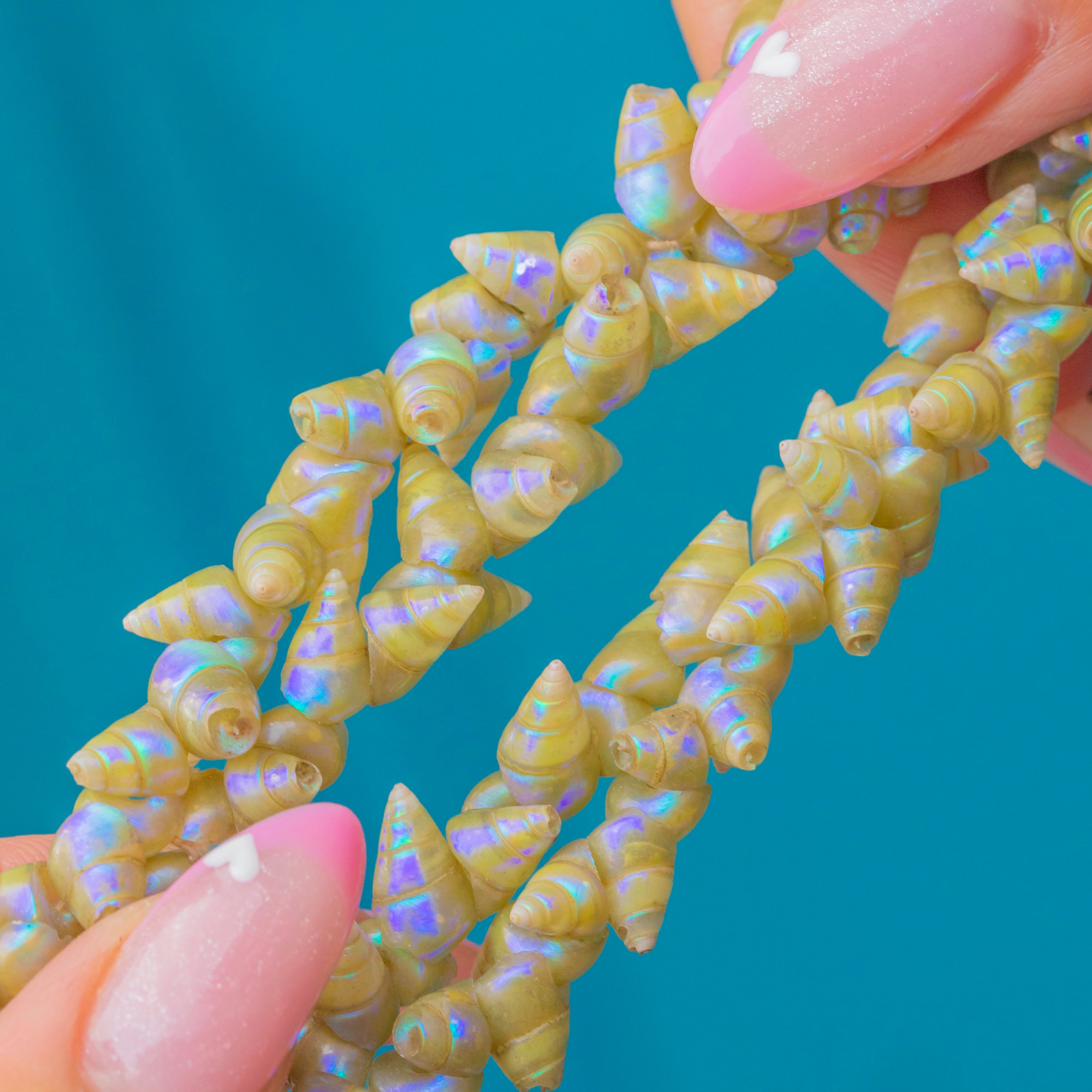 Victorian Double Strand Tasmanian Marieneer Shell Necklace , Screwclas