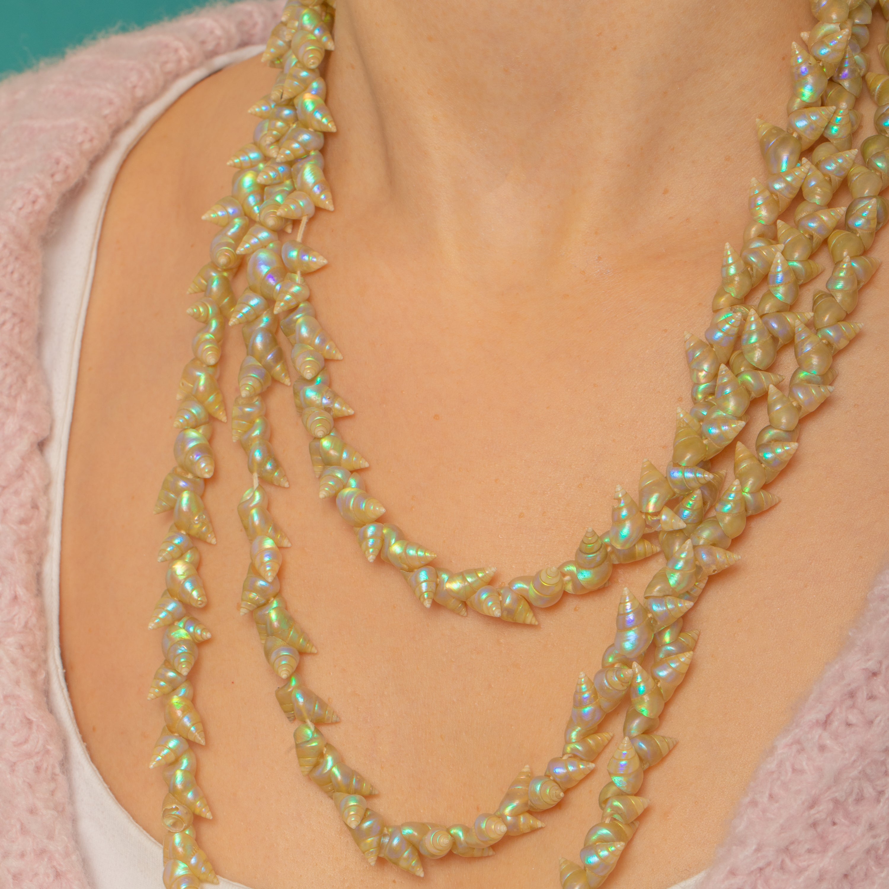 Aboriginal Shell Pendants Victorian Aboriginal Tasmanian Maireener Shell Necklace
