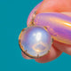 9ct Gold Victorian Moonstone Cabochon Pendant, 5.85ct